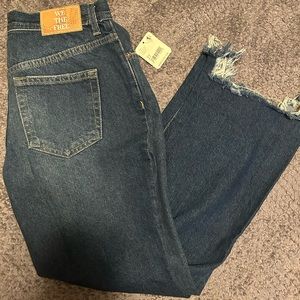 Free People Size 27 Jeans